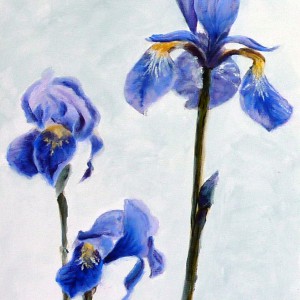 S02_Lilie1_2x